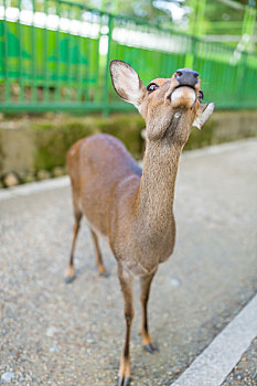 kết quả xổ số ngày hôm nay