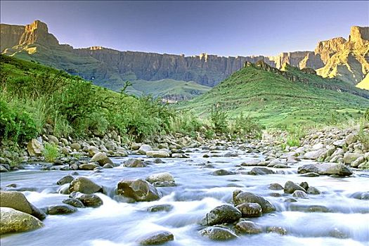cau lo rong bach kim