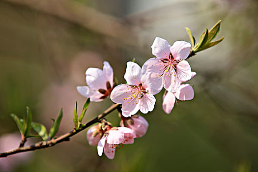 lô chơi nhiêu mb ngay mai