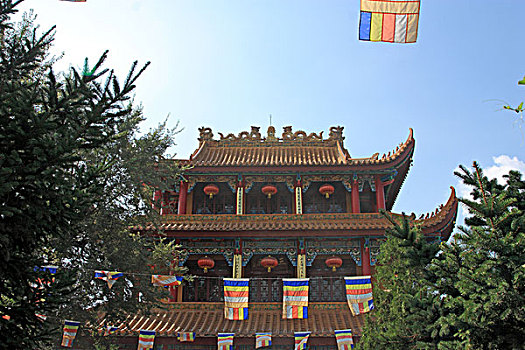 lo bạch thủ đẹp hôm nay