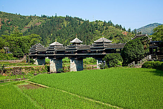 xsmn chu nhat hang tuan