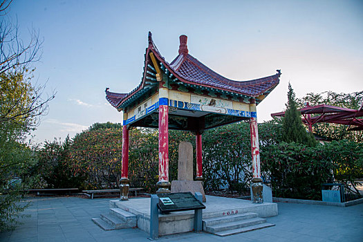 số xo