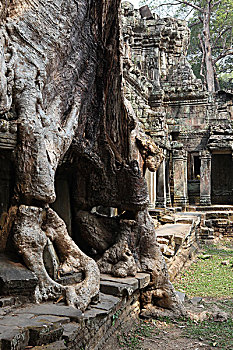 dự đoán xổ số ba miền hôm nay