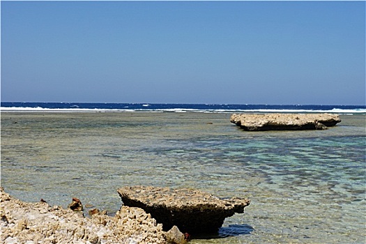 soi cau lo de rong bach kim