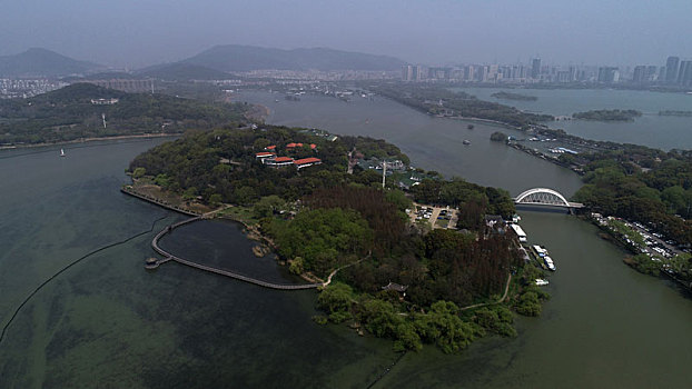 rong bạch kim 888