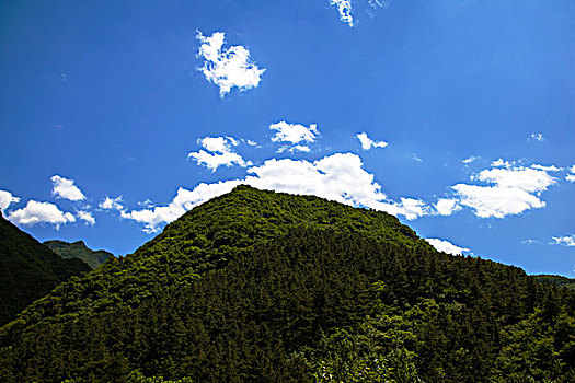 số ba miền