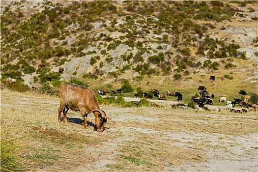 cách đánh lô chuẩn