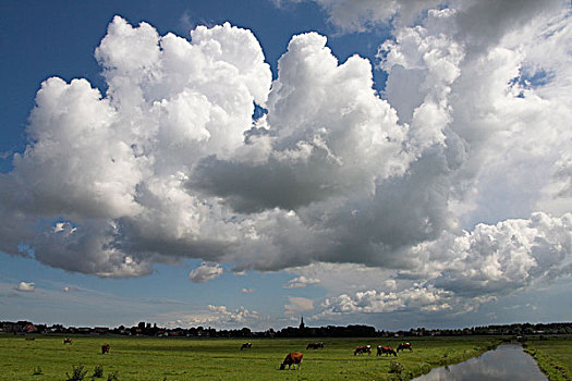 soi cầu đề chuẩn