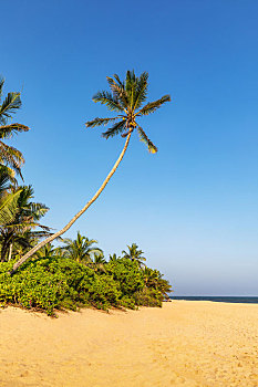 soi cầu chuẩn miền bắc