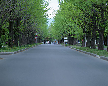 đề 3 càng