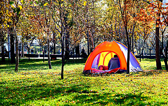 soi cau de bach thu