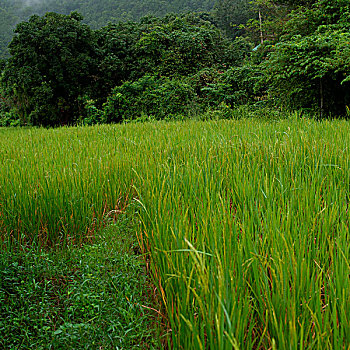 du doan xo so mien bac chinh xac lo bach thu
