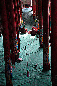 soi cầu tứ quý 7