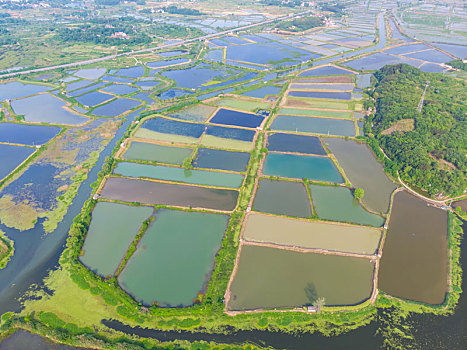 xs đồng tháp