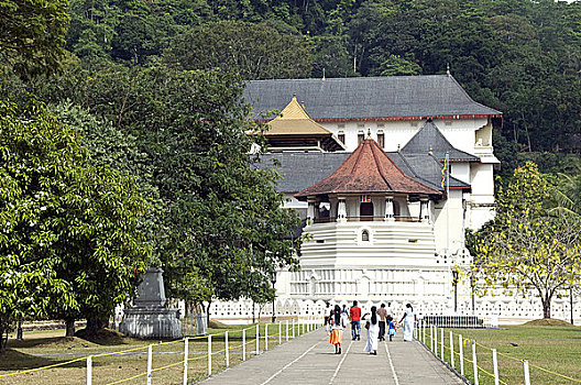 soi cau bach thu ngay hom nay