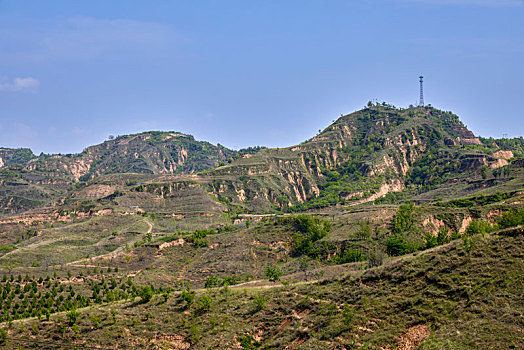 soi cau mb minh ngoc