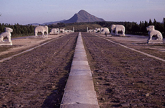 lo de gan