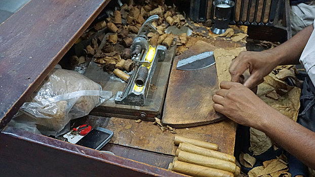 soi cầu bạch thủ 666