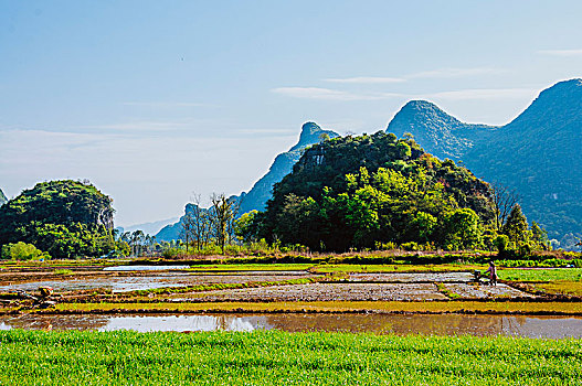 dan song thu lo