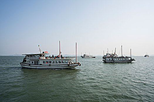 soi cau lo kep ngon