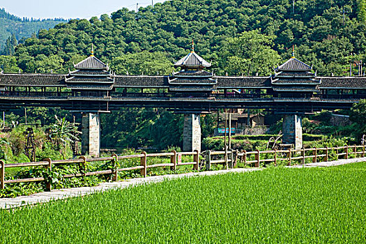 xổ số thử